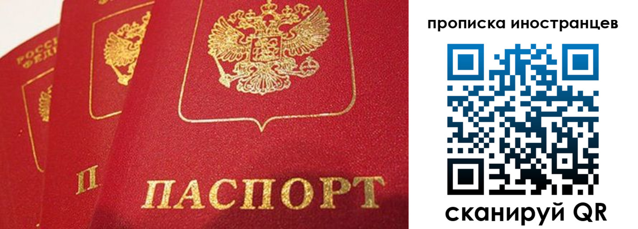 прописка поиск в Ликино-Дулёво